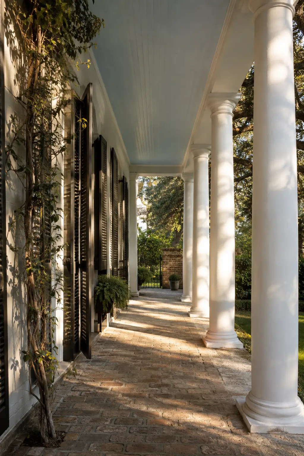 Charleston detail — piazza, black shutters, oyster stucco — The Society of Preservation Med Spa, Charleston